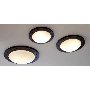 Robers Leuchten Deckenleuchten & Deckenlampen für außen von Robers Leuchten Industrial Deckenleuchte für den Außenbereich DE2550-A