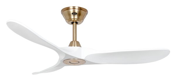 Eco Genuino 122 MG-MW der Firma Casafan